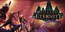 Купить Pillars of Eternity Hero Edition